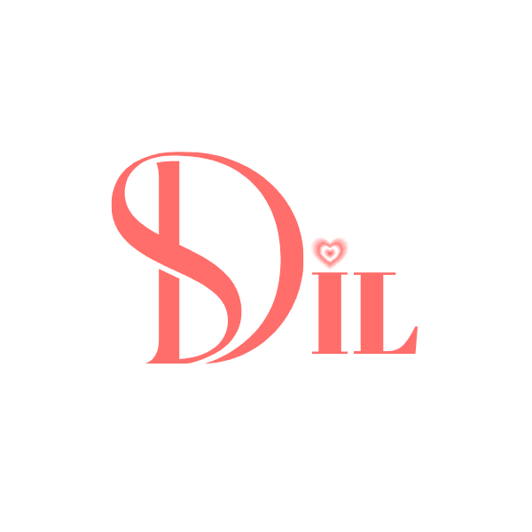 The Dil Desi Rom-Com Series cover